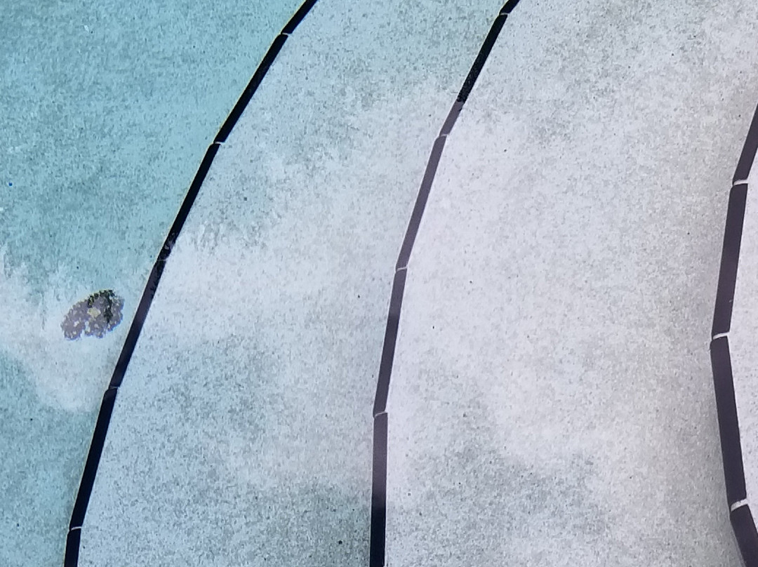 Days Inn by Wyndham North Mobile主图