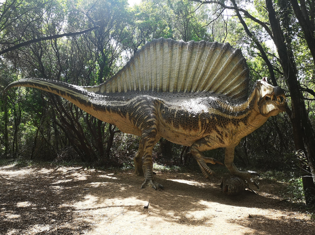 Dinosauri in Carne E Ossa-Fregene必去景点