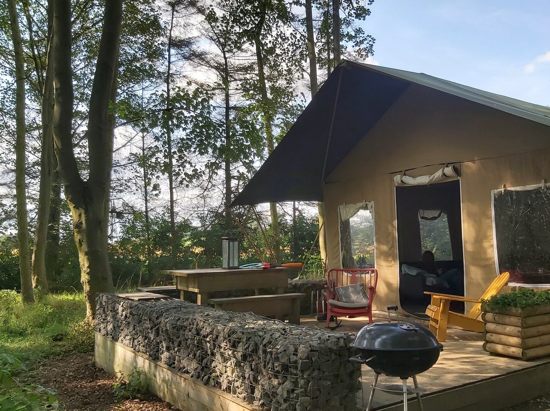 Thimbleby旅游攻略图片