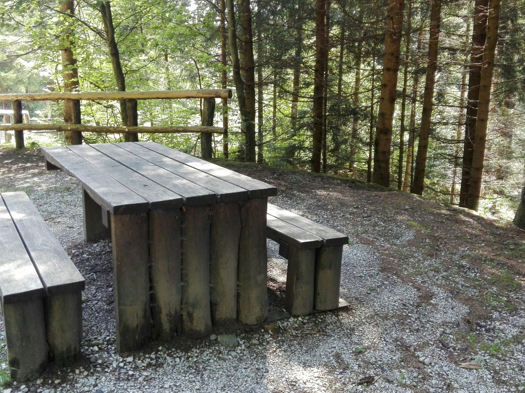 Riserva Naturale Boschi del Giovetto di Palline-Borno必去景点