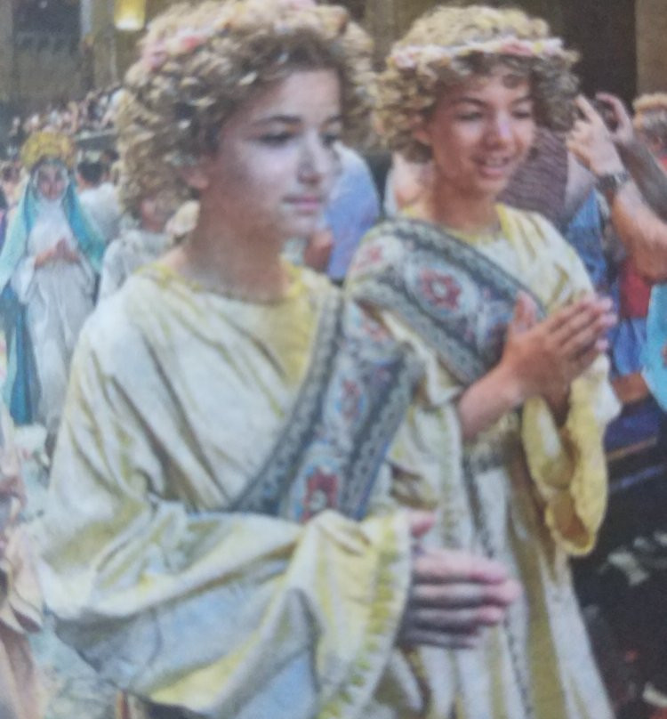 Misteri D'Elx景点图片