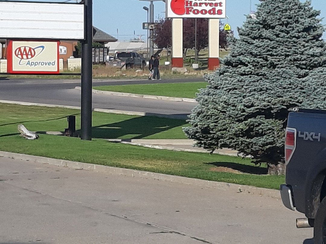 Super 8 by Wyndham Cut Bank主图