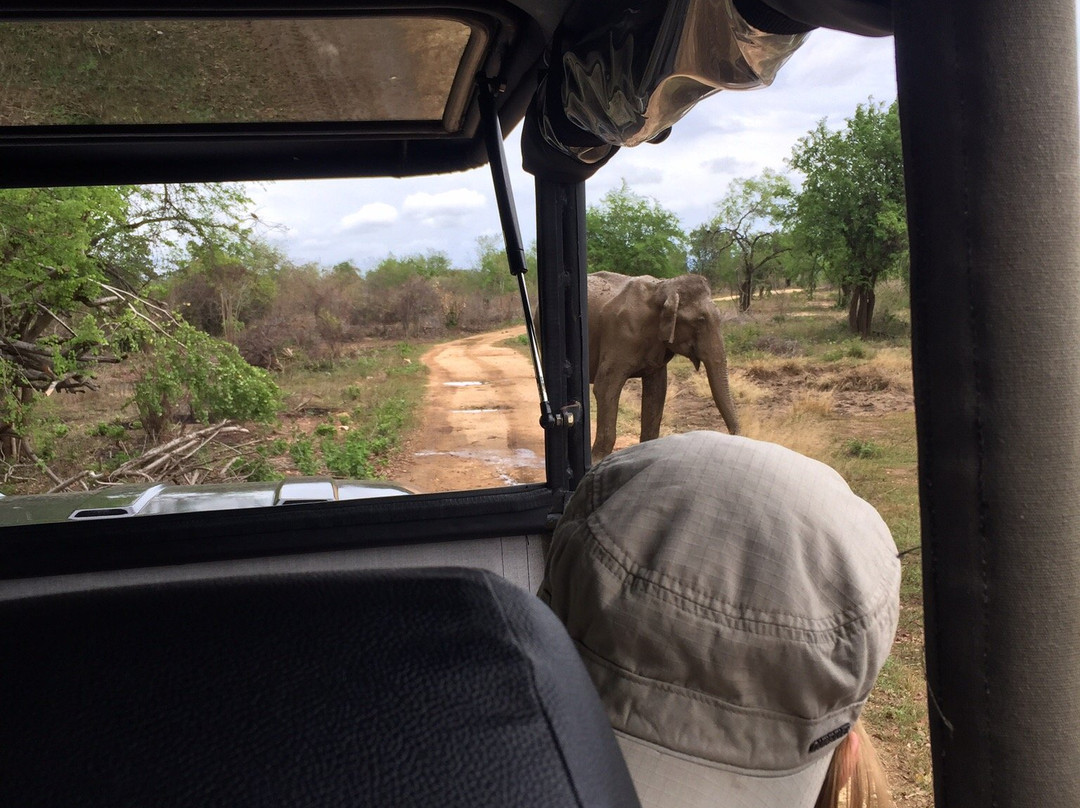 帕瓦纳度假酒店主图
