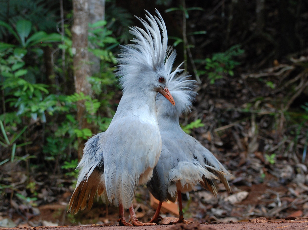 Toutazimut-努美阿必去景点