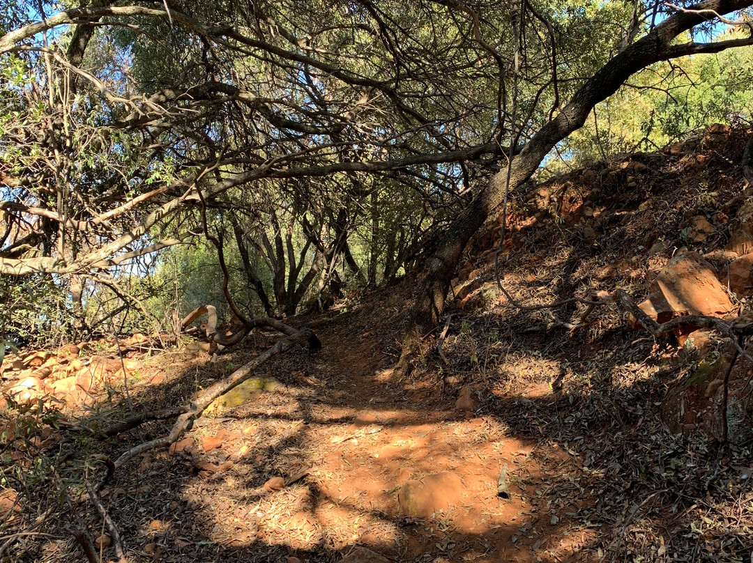 Rustig-Magaliesburg必去景点