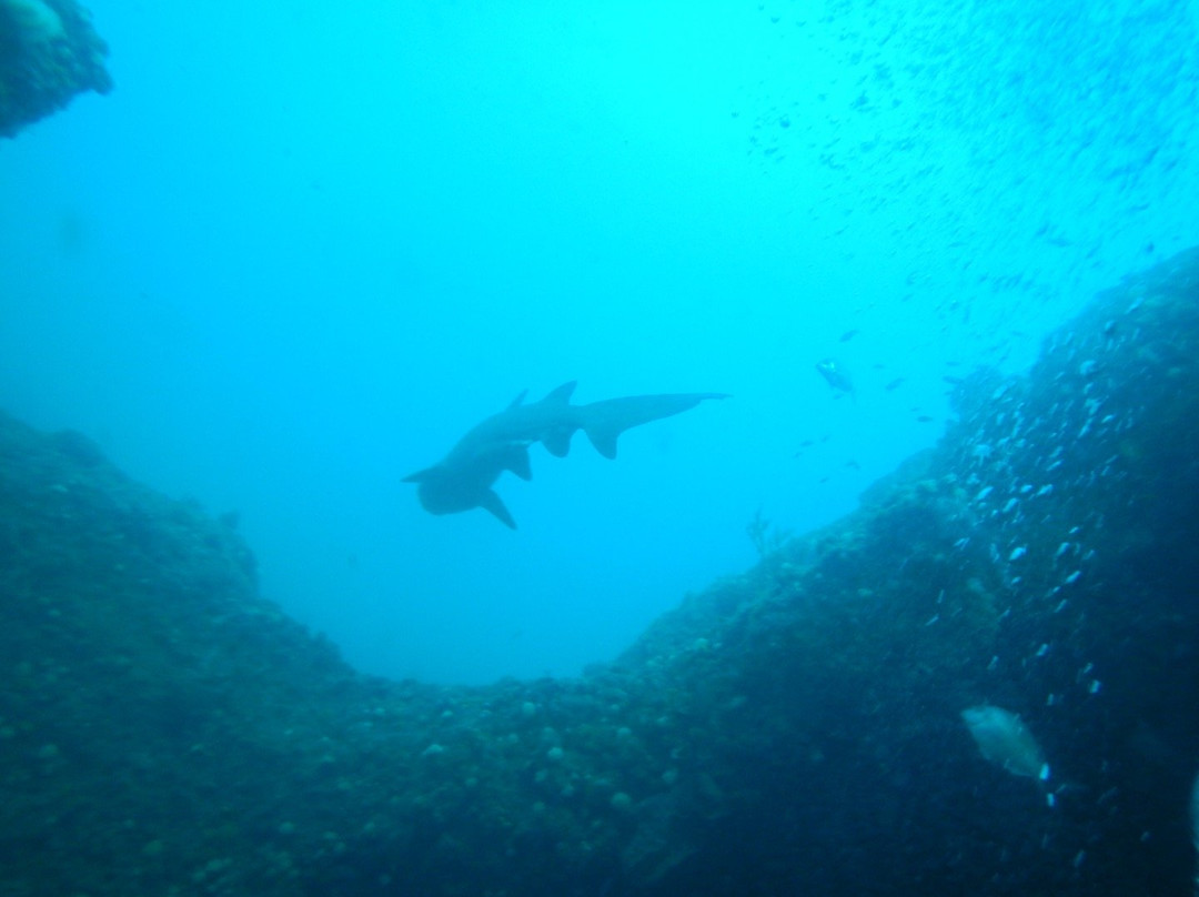 Crystal Divers-Scottburgh必去景点