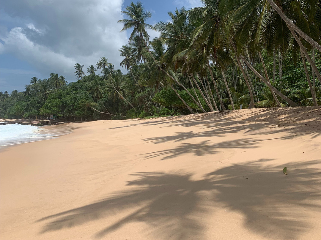 Tangalle Green House主图