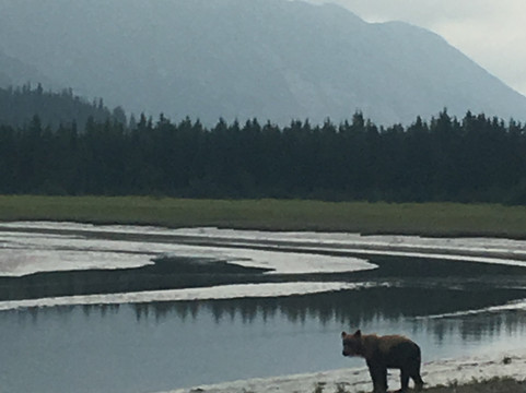 Bearfoot Tours-荷马必去景点