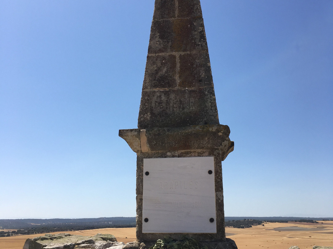 Sitio Historico de Los Arapiles景点图片