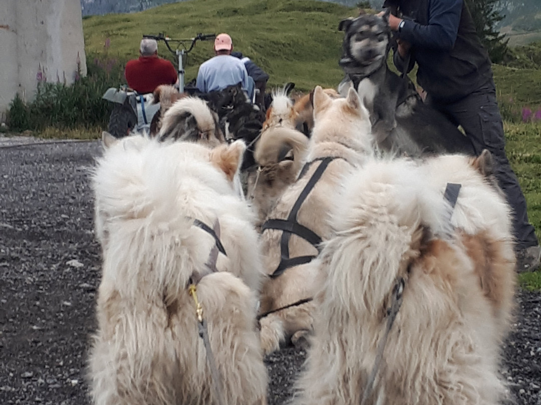 Chiens de Traîneaux-Macot-la-Plagne必去景点