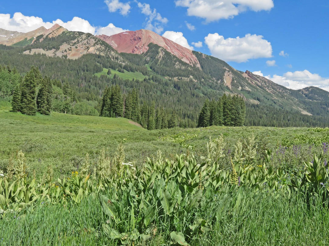 Schofield Pass-克雷斯特德比特必去景点