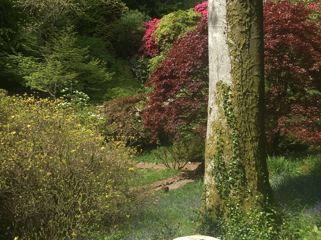 Lukesland Gardens-Ivybridge必去景点