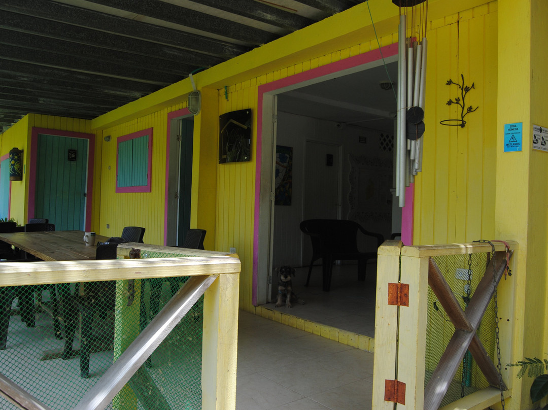 Hotel Yellow Home Providence Island主图