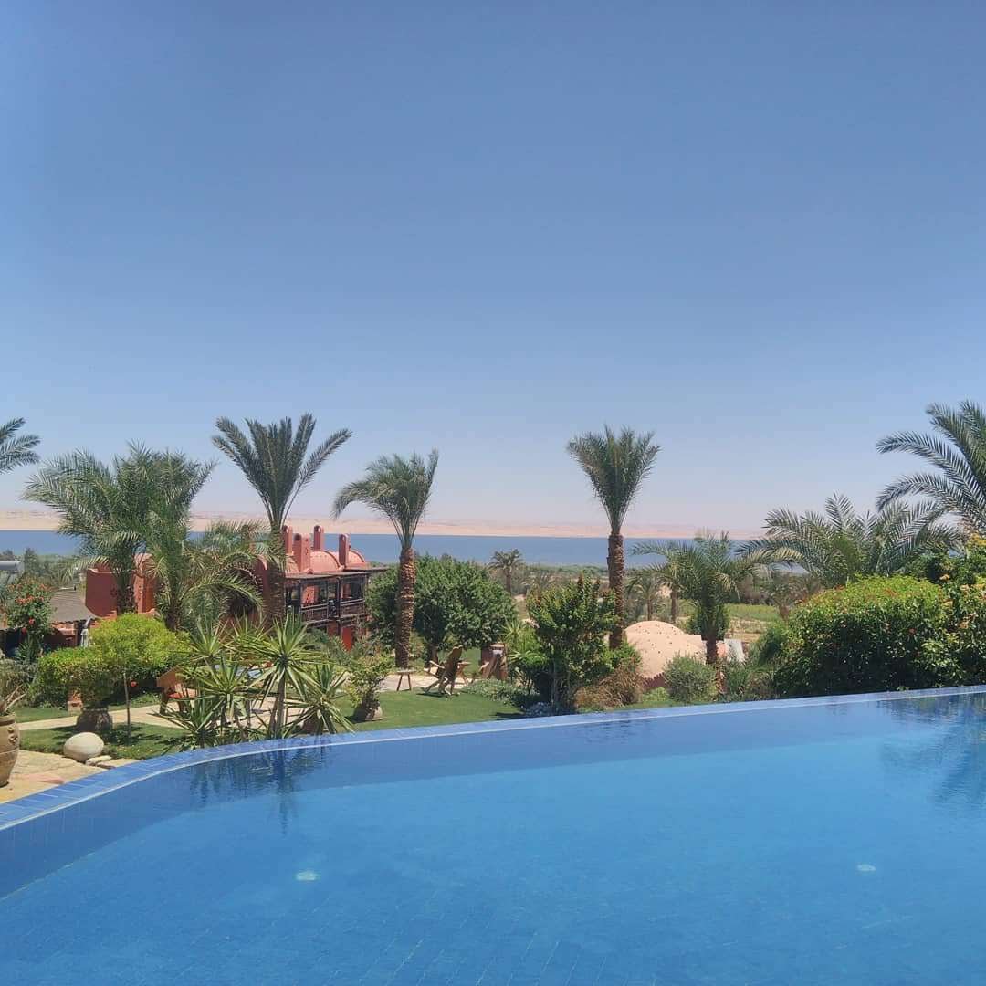 Lazib Inn Resort & Spa-泳池