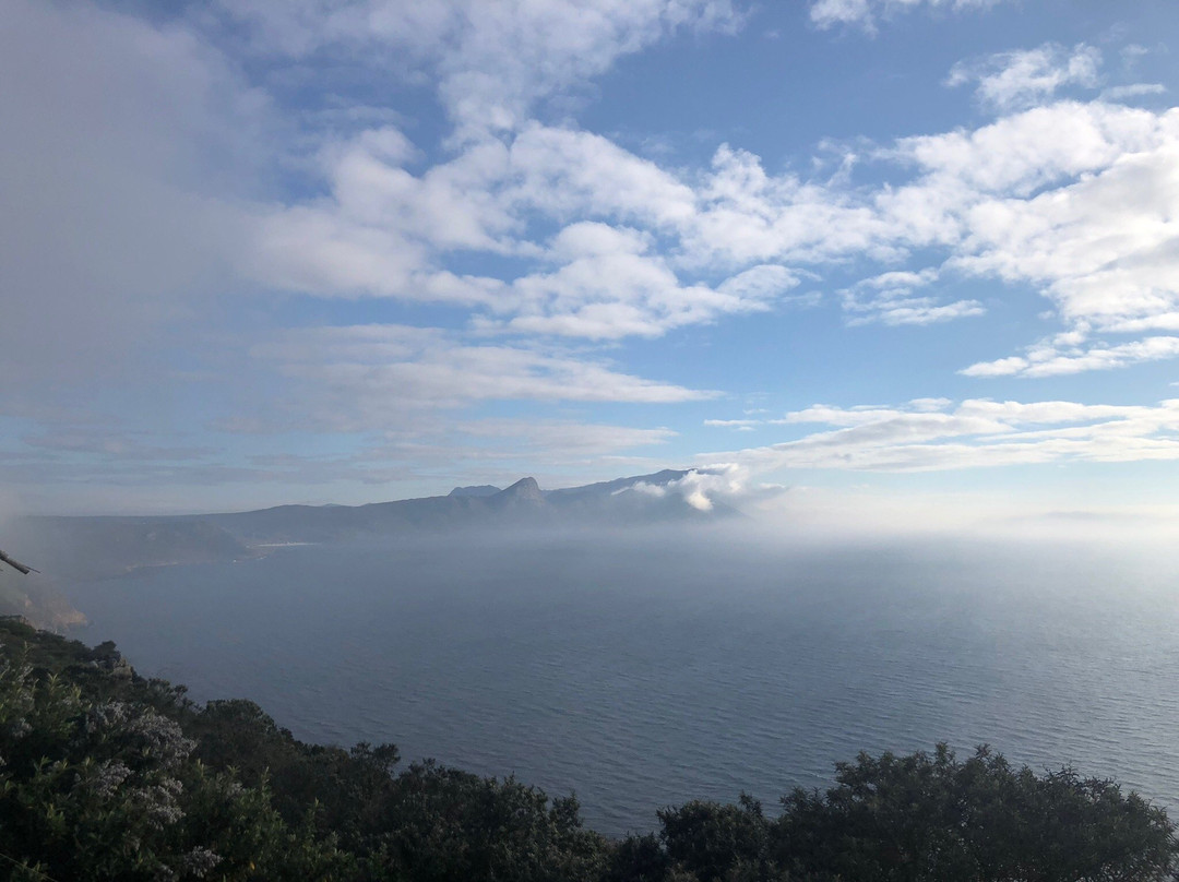 Cape Town Day Tours-Rondebosch必去景点