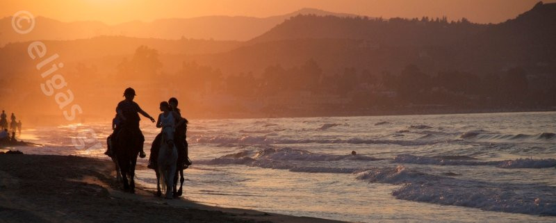 Eligas Studios & Apartments主图