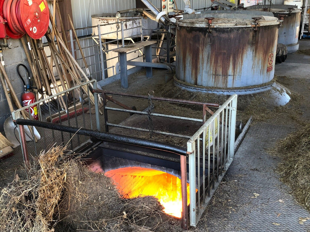 Distillerie de Lavande les Coulets景点图片