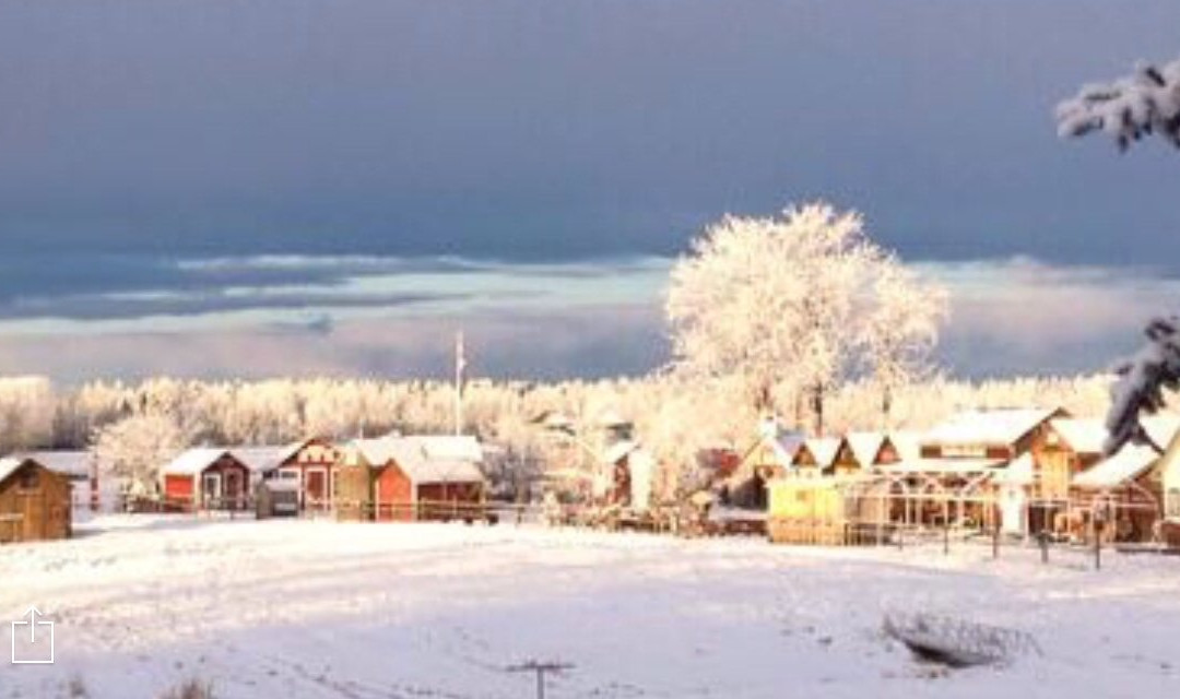 Double Tree Village Museum-Spruce View必去景点