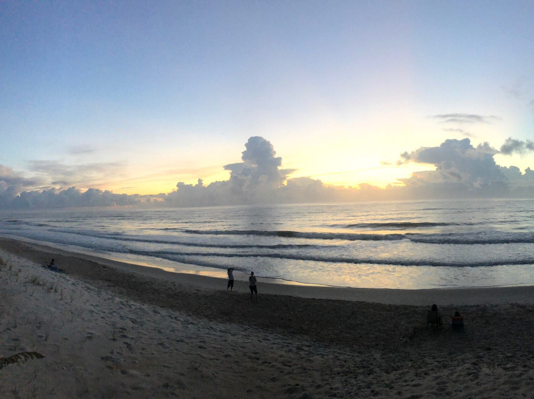 Jungle Hut Park-棕榈海岸必去景点