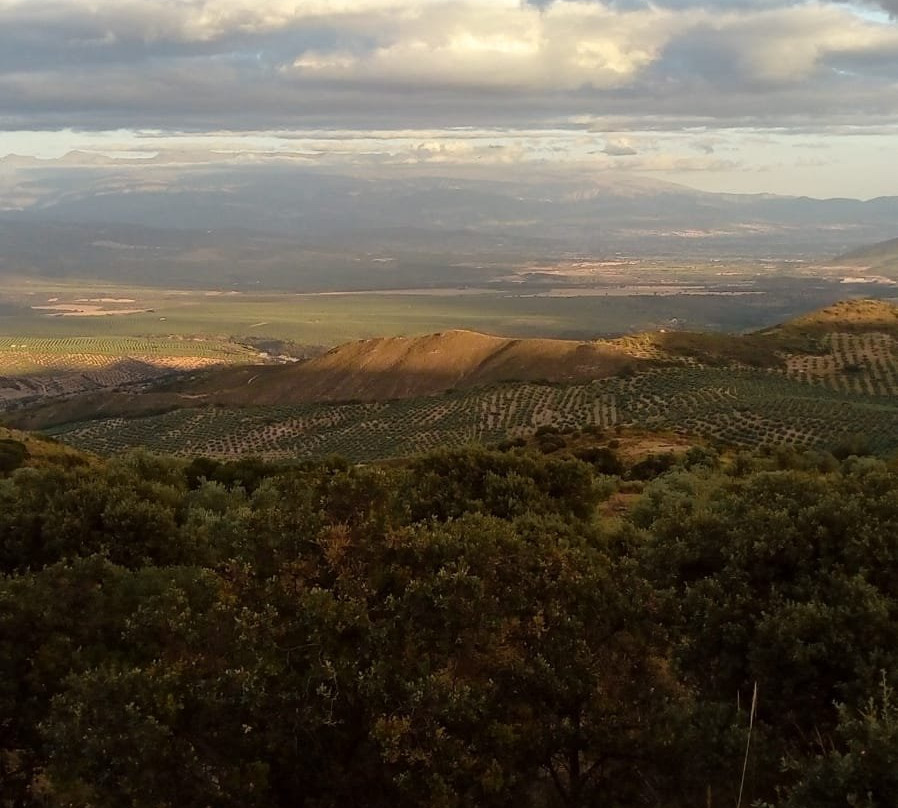 La Posada de Colomera主图