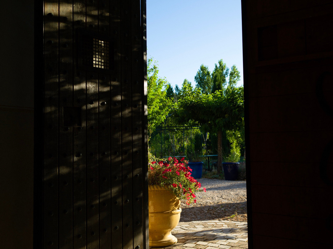 Une Campagne En Provence主图