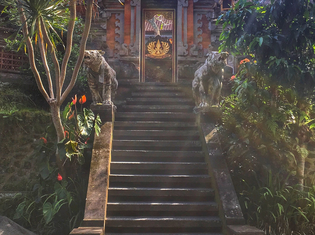 Green Bali Trekking景点图片