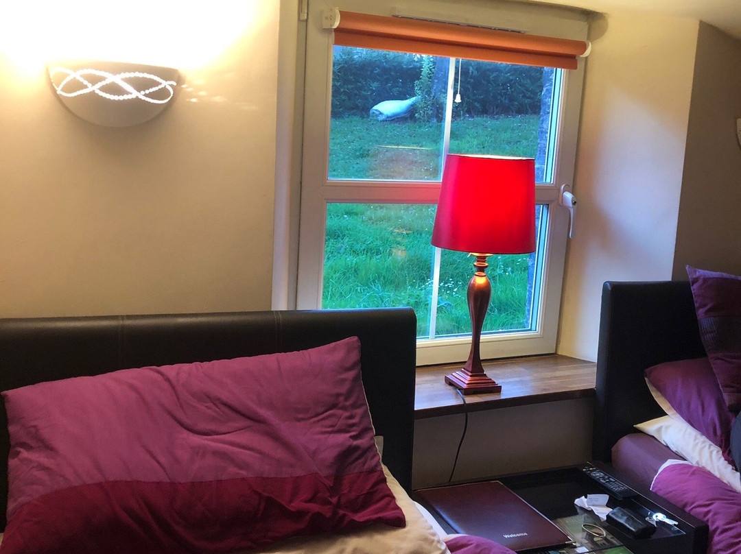 Teviotside Guest House主图