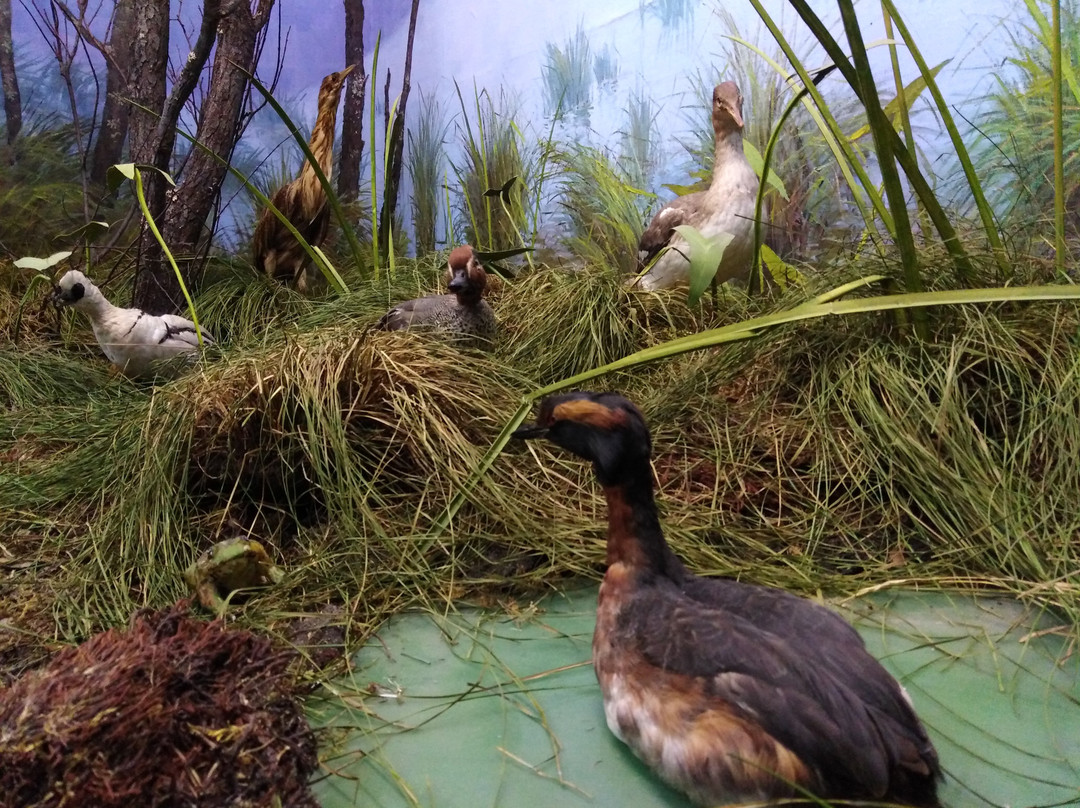 Severouralsk Local Lore Museum-Severouralsk必去景点