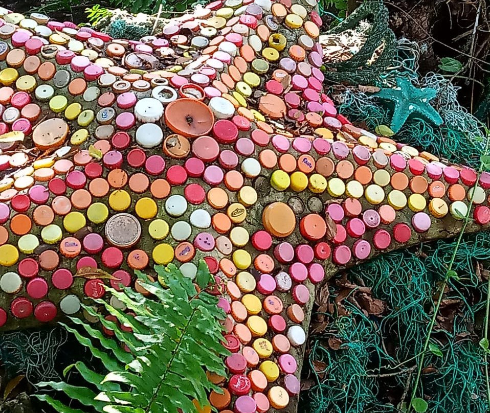 Local Ocean Conservation-瓦塔木必去景点