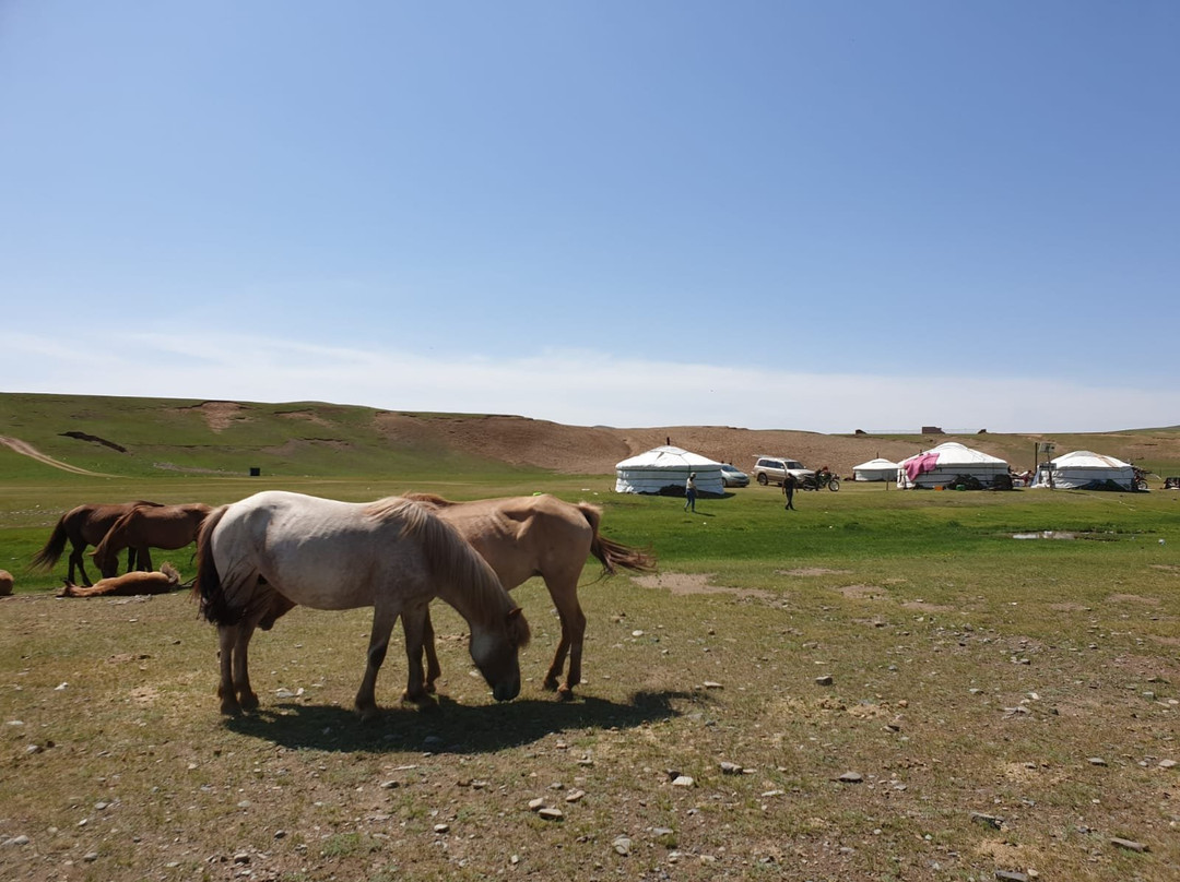 Explore Mongolia with Falcon Journey-乌兰巴托必去景点