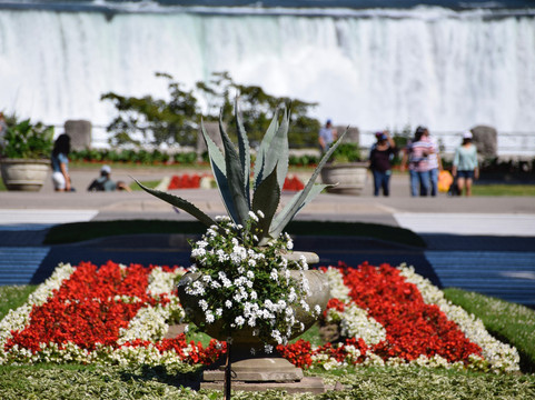 Niagara Culinary Tours-滨湖尼亚加拉必去景点