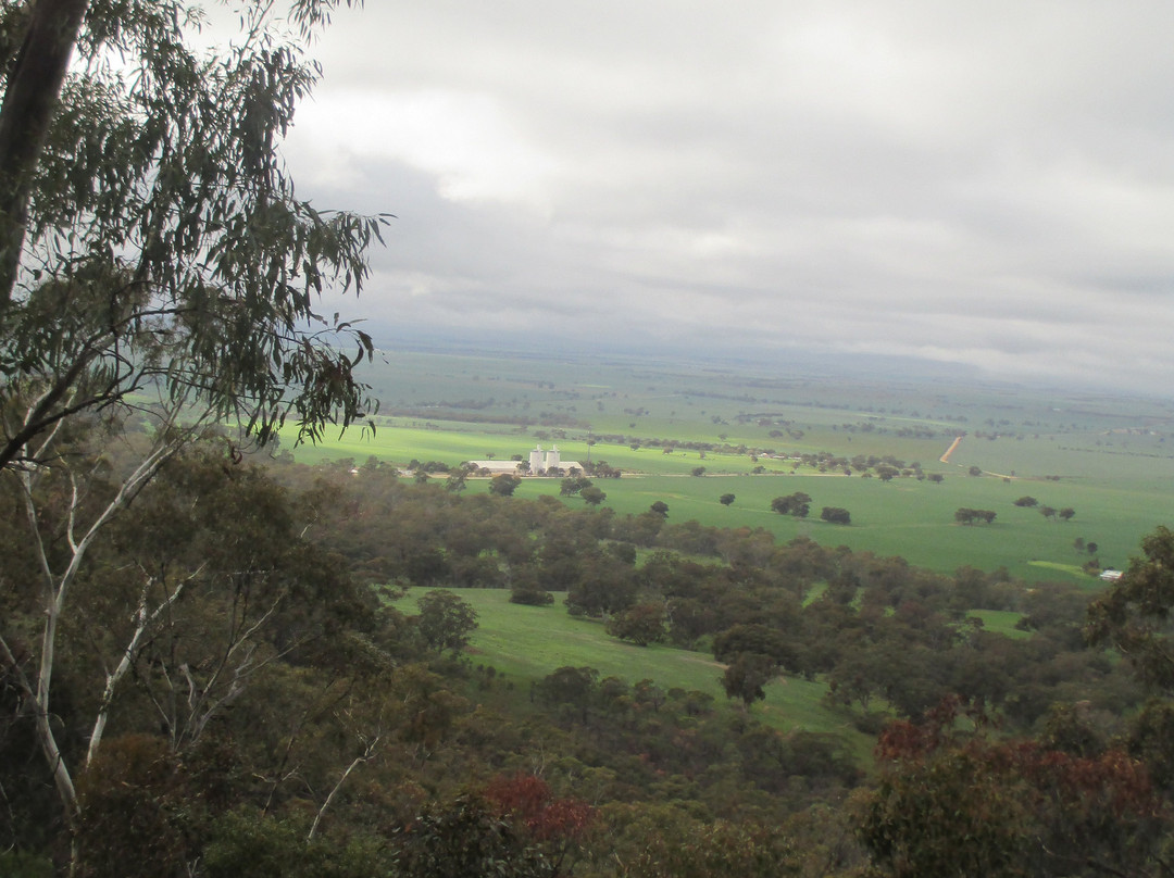 Mount Remarkable Summit Hike景点图片