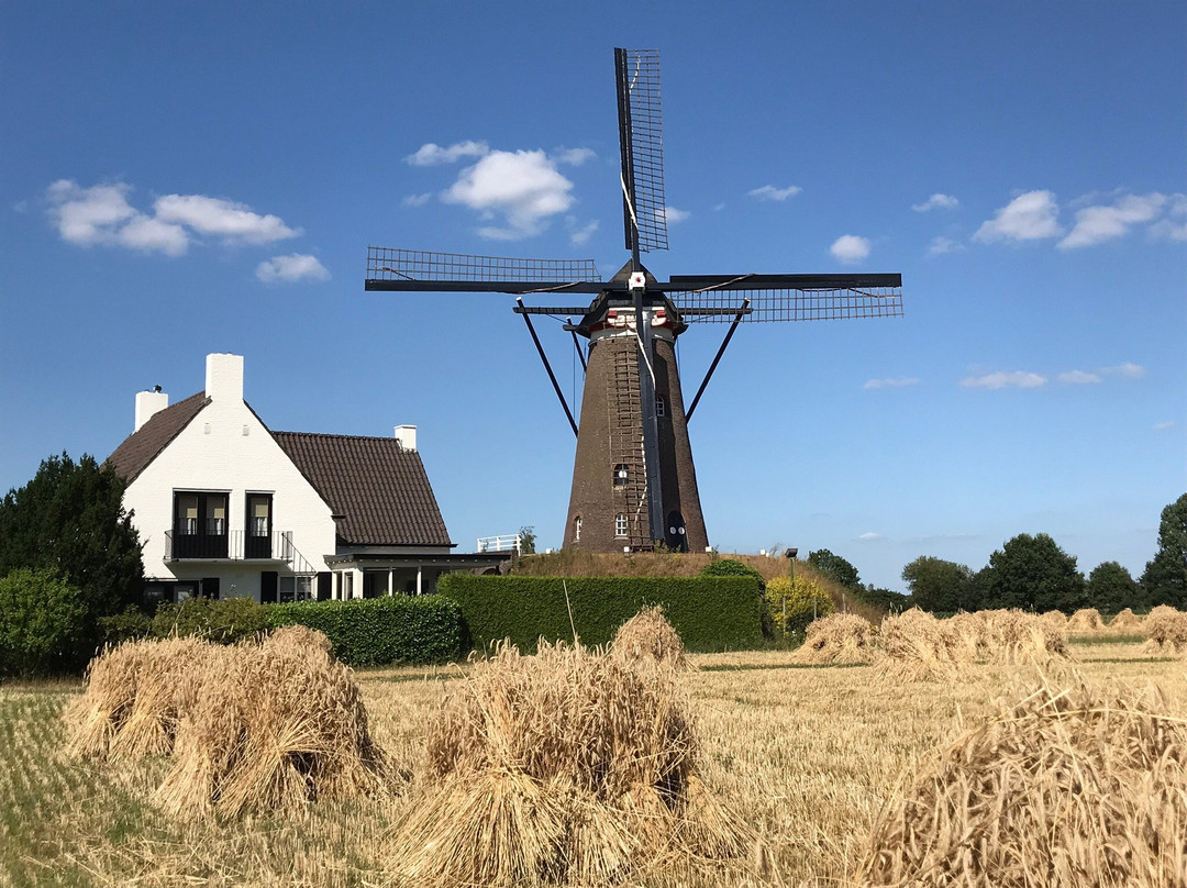 Windkorenmolen De Roosdonck景点图片