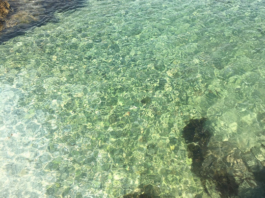 Blue dream travel-斯普利特必去景点