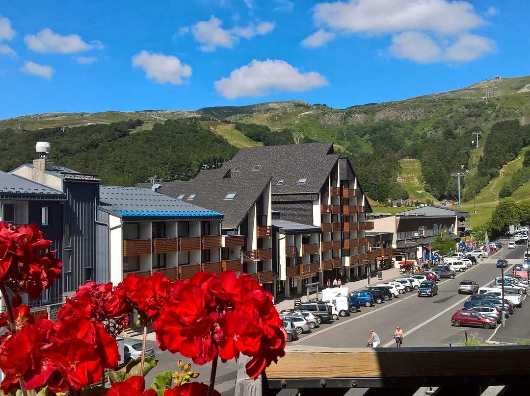 莱斯阿利齐旅居酒店
