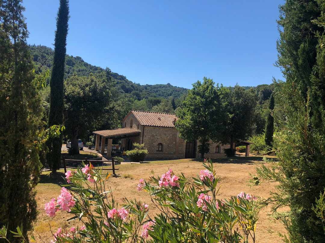 Relais Borgo Il Massera主图