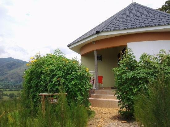 The Crested Crane Bwindi Hotel主图