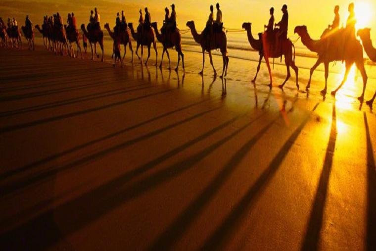 Lal Garh Desert Safari景点图片