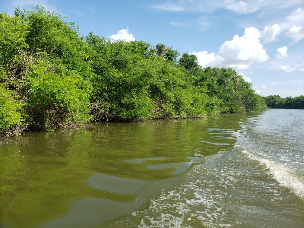 Pantanos de Centla景点图片