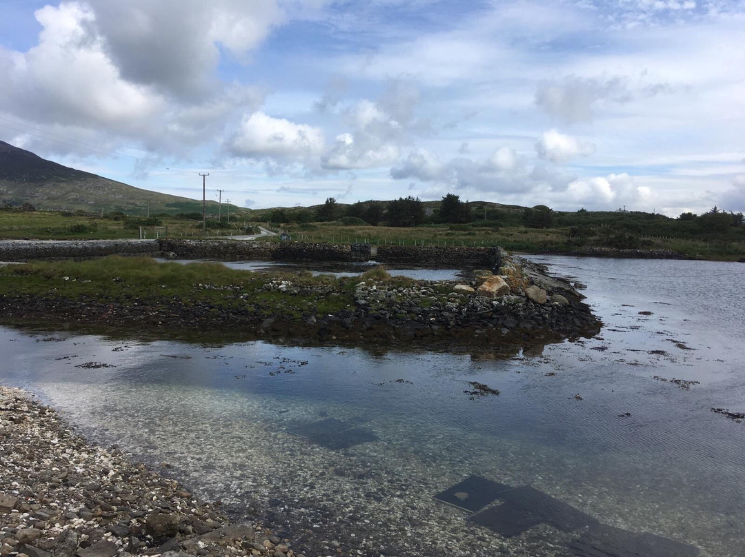 DK Connemara Oysters景点图片