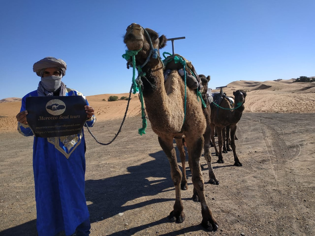 Morocco Soul Tours-瓦尔扎扎特必去景点