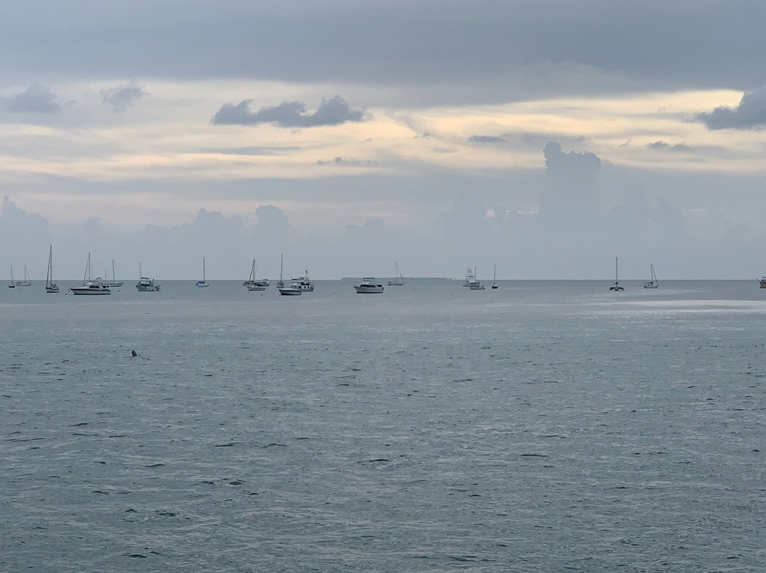 Key West Cruises景点图片