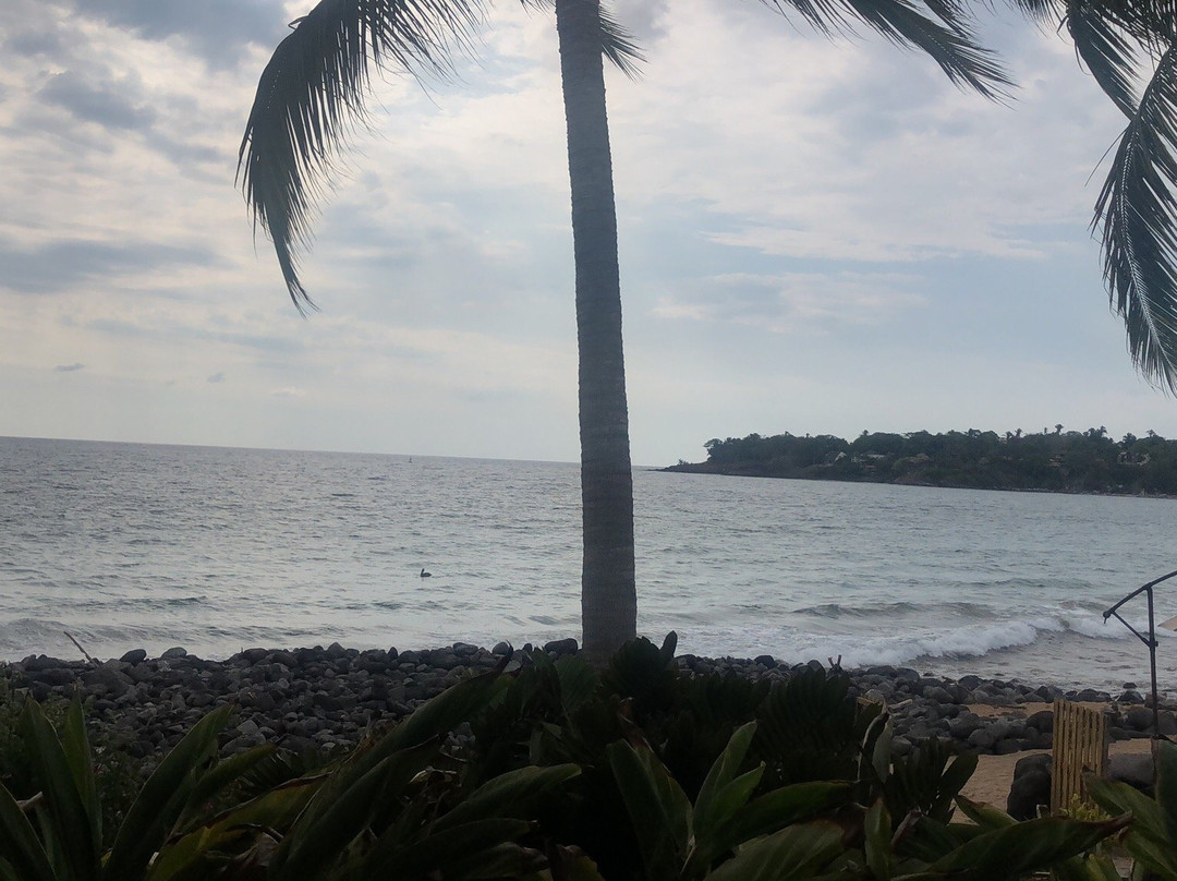 Mar De Jade Retreats Wellness Vacation主图