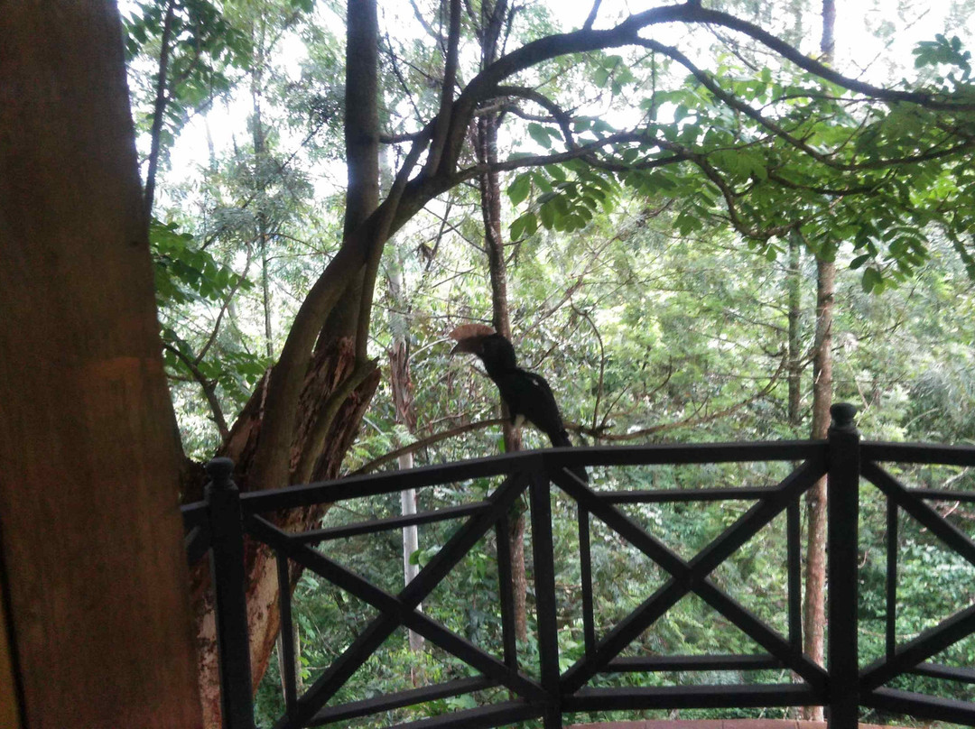 奥斯潘旅馆主图