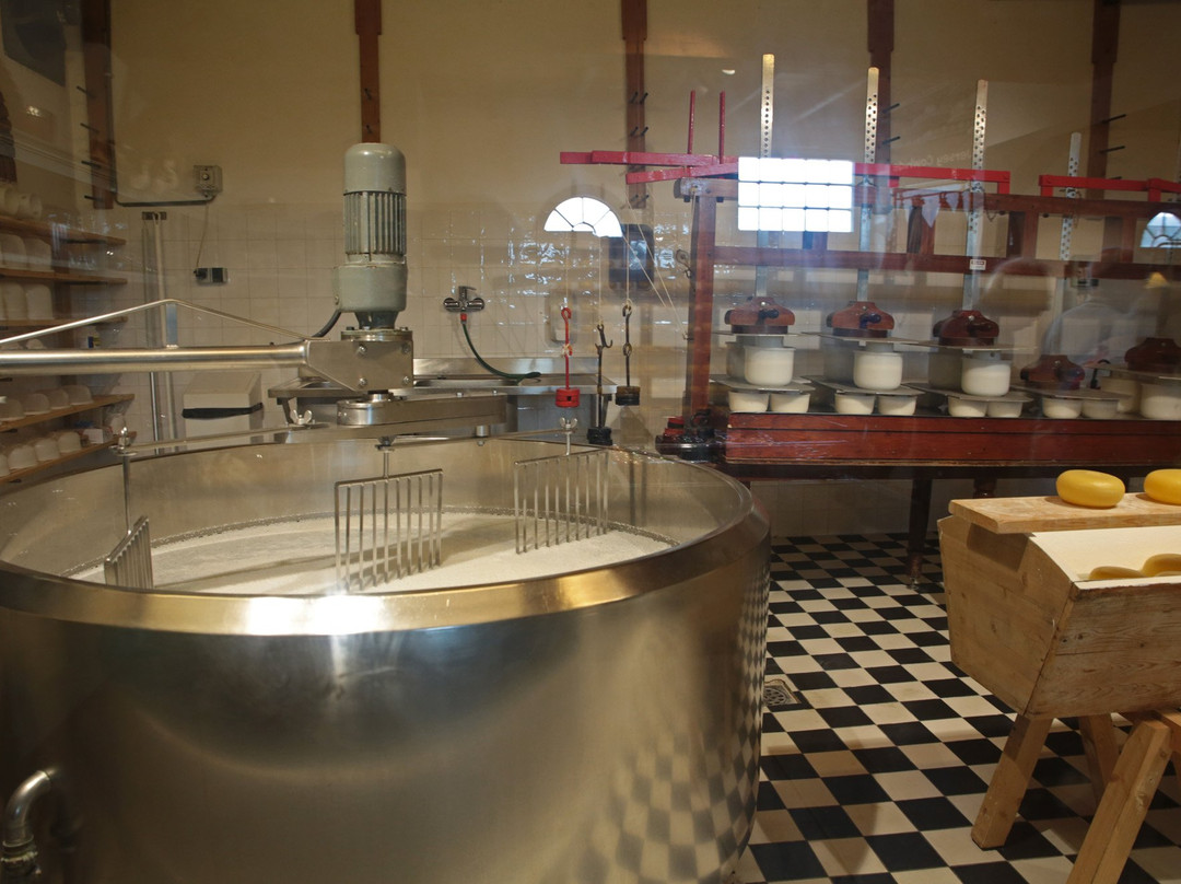 Alida Hoeve Cheese Farm & Wooden shoe factory-福伦丹必去景点