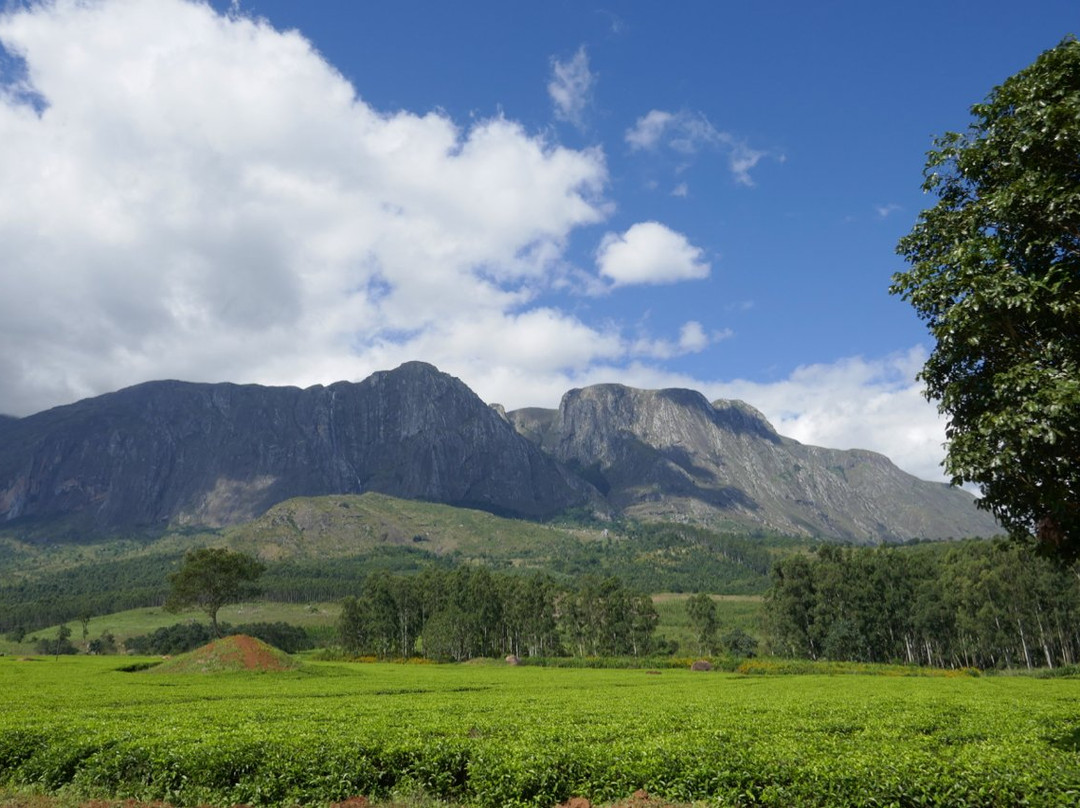 Mount Mulanje景点图片