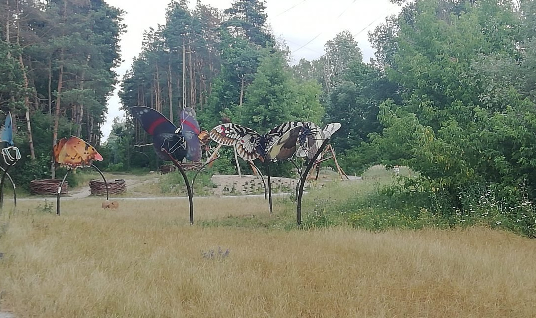 Park Dolina Wkry景点图片