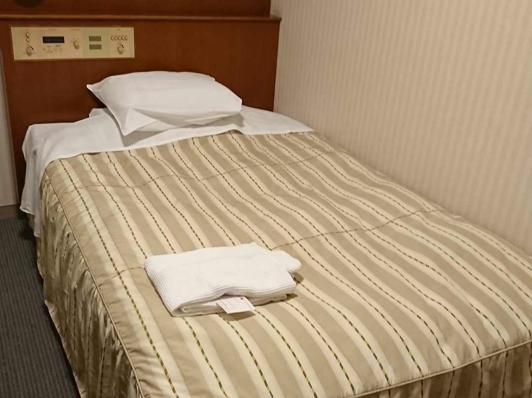 加古川广场酒店主图