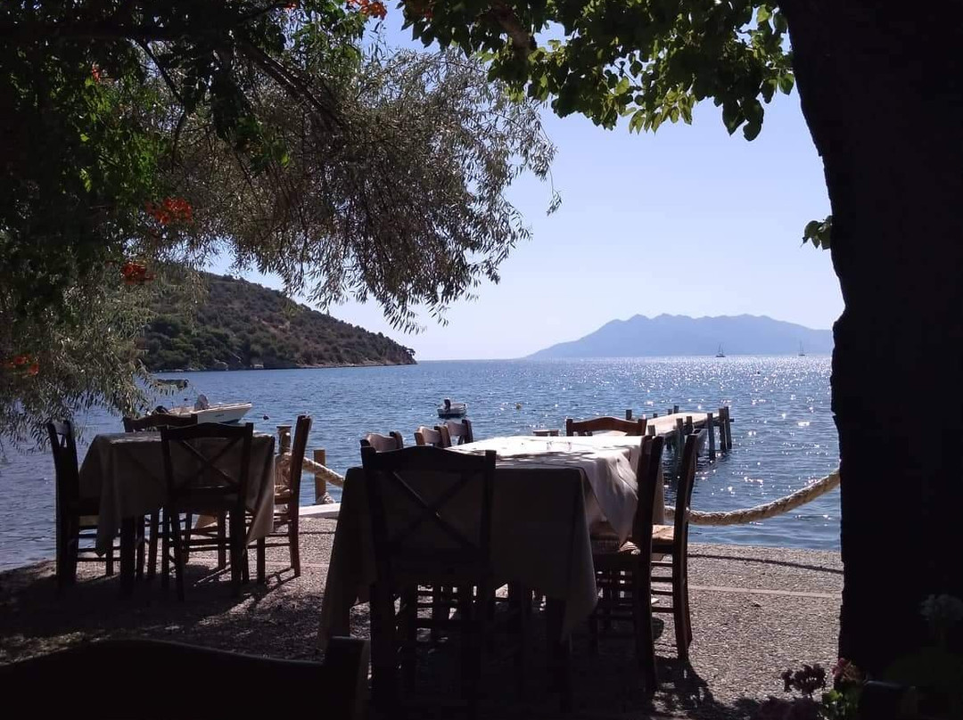 Mouria Rooms & Studios主图