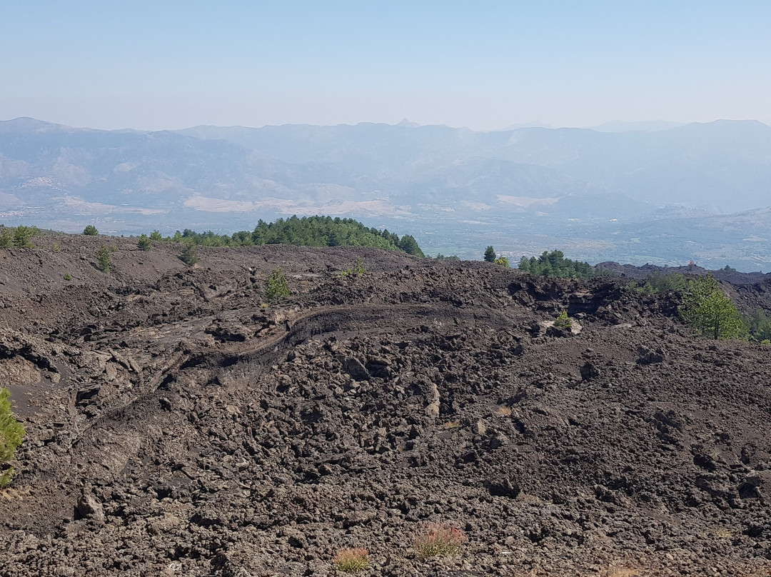 Etna Bike Tours景点图片